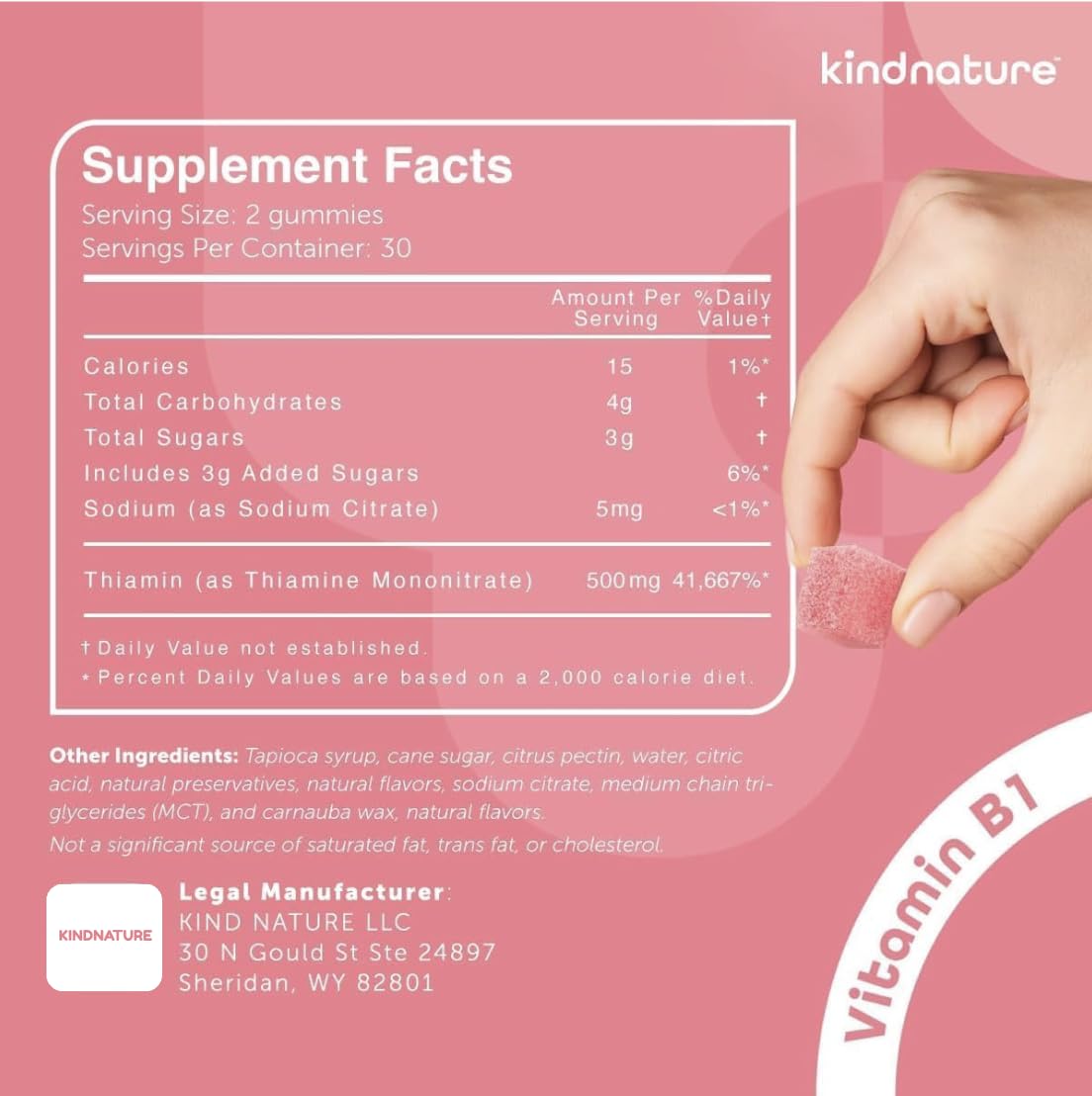 kindnature Vitamin B1 Gummies 500mg – High Potency Thiamine Supplement for Energy, Focus & Nervous System – Vegan, Non-GMO Chewable B1 Vitamins for Adults & Kids – Natural Strawberry Flavor – 60 Ct